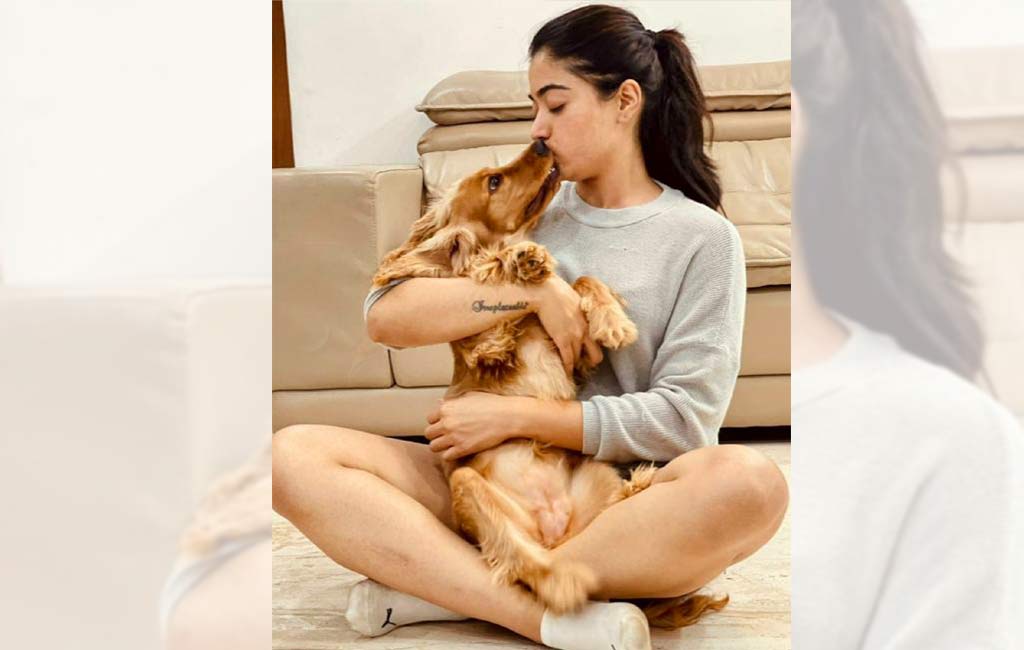 Rashmika Mandanna’s playtime with her furry friend Aura