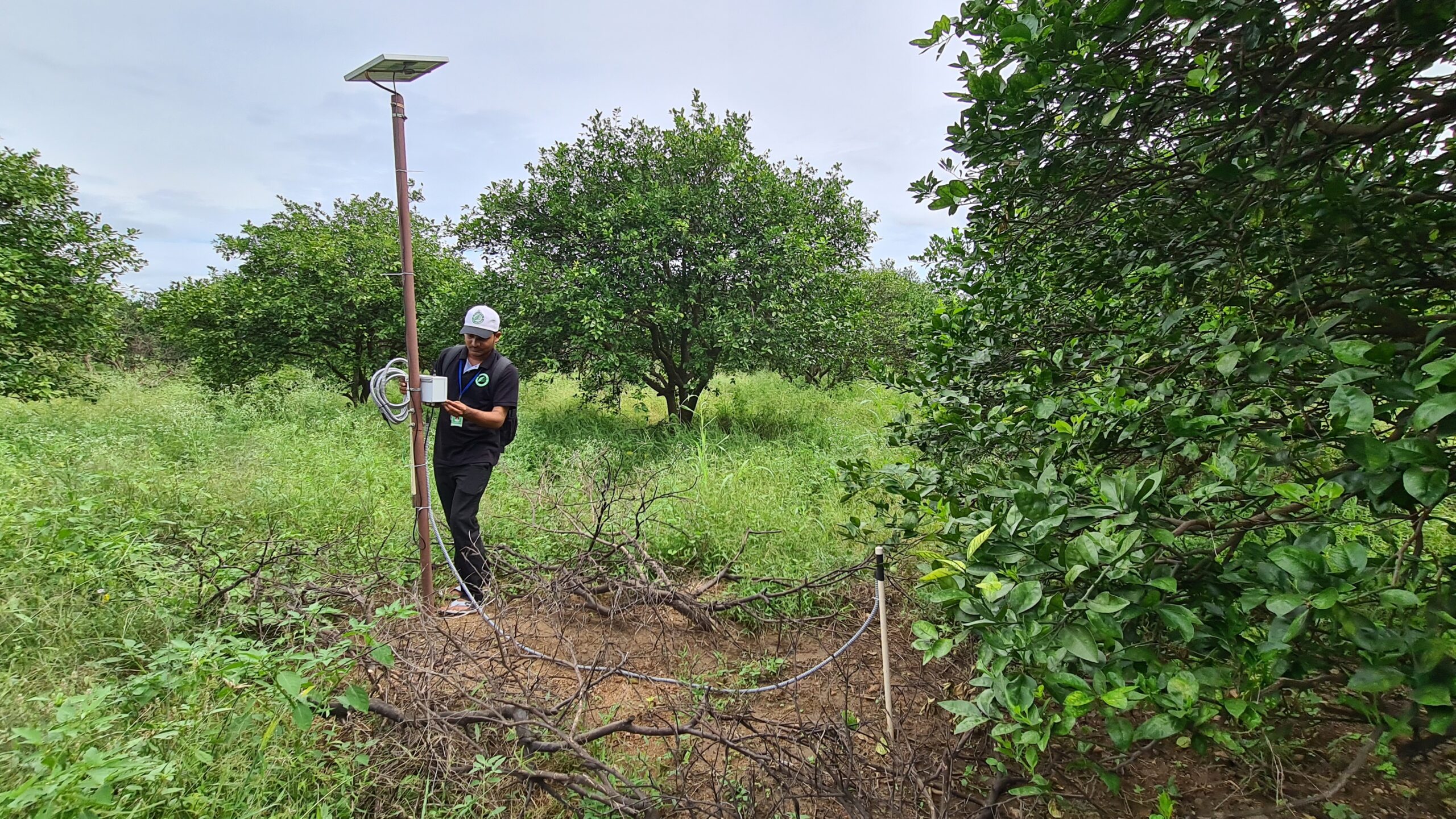 Hyderabad-based startup helps citrus farmers increase yield by 30 pc