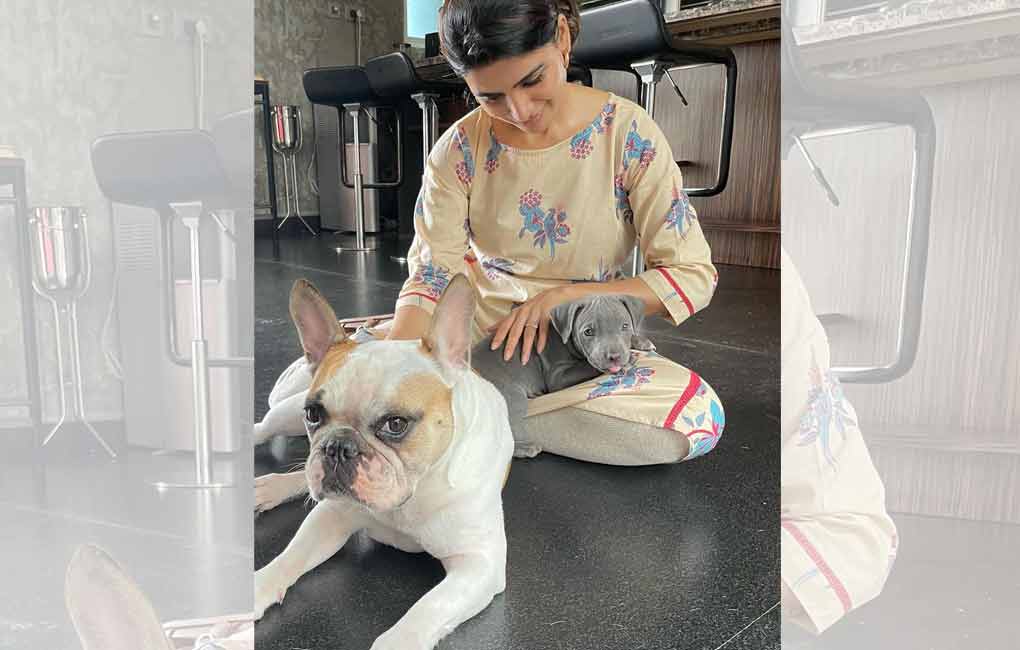 Adopt, don’t shop’ roar animal lovers from the city