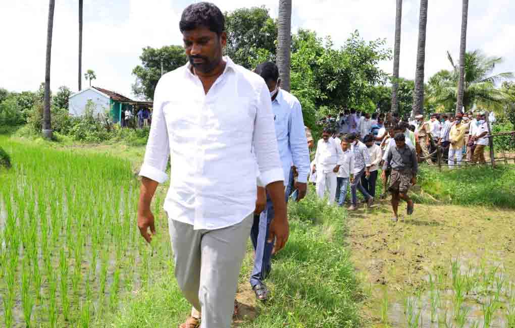 All support to be extended to farmers: Balka Suman