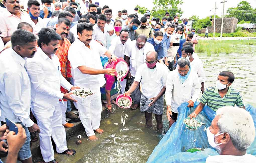 Eatala shedding crocodile tears: Talasani Srinivas Yadav
