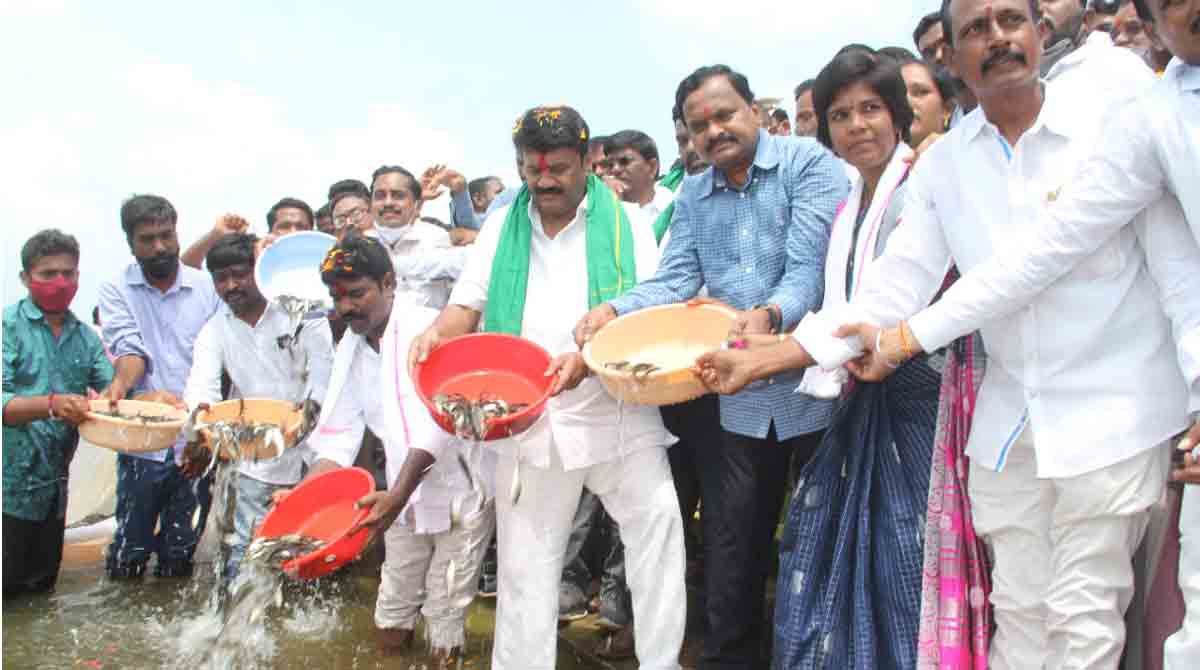 Caste-based professions revived in Telangana: Talasani