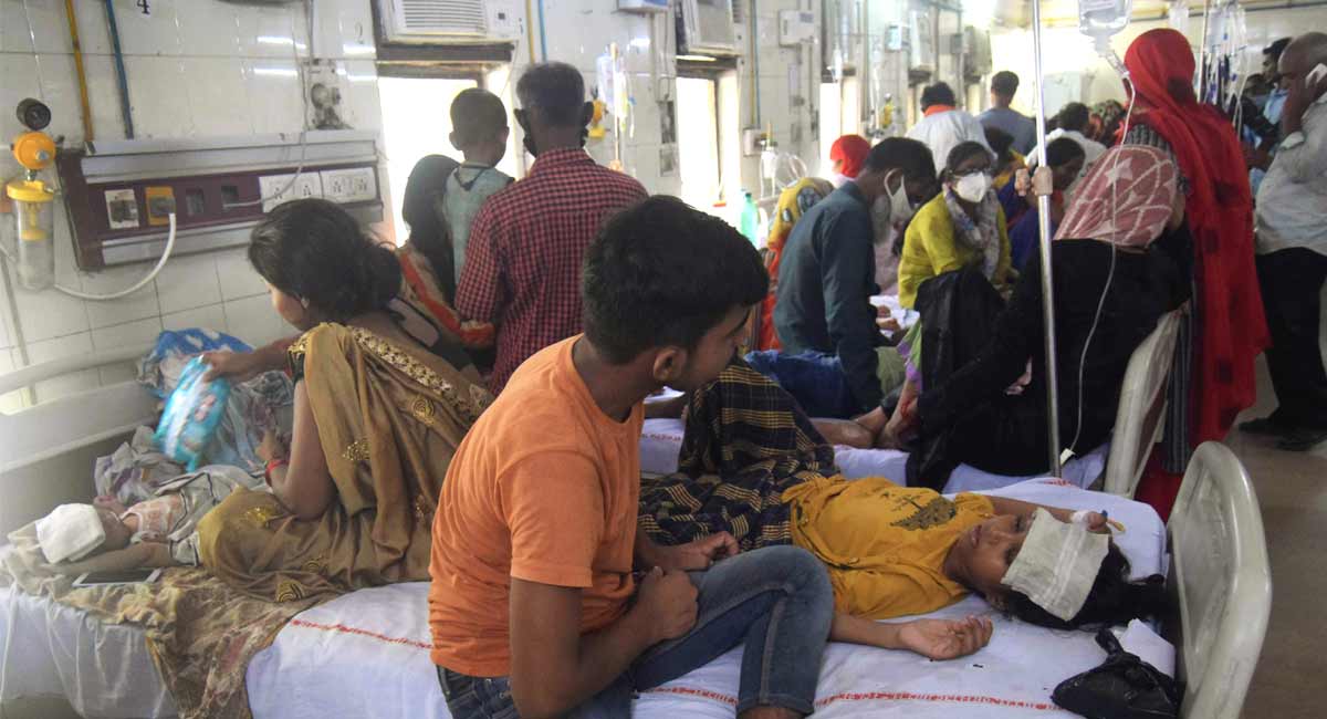 Two Delhi hospitals report cases of scrub typhus among children
