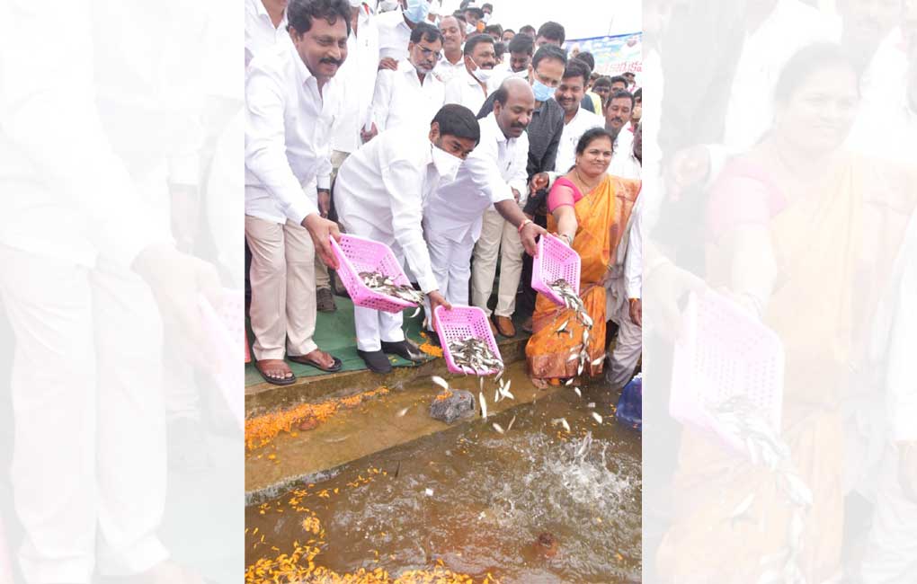 Fish production increased significantly in Telangana: Jagadish