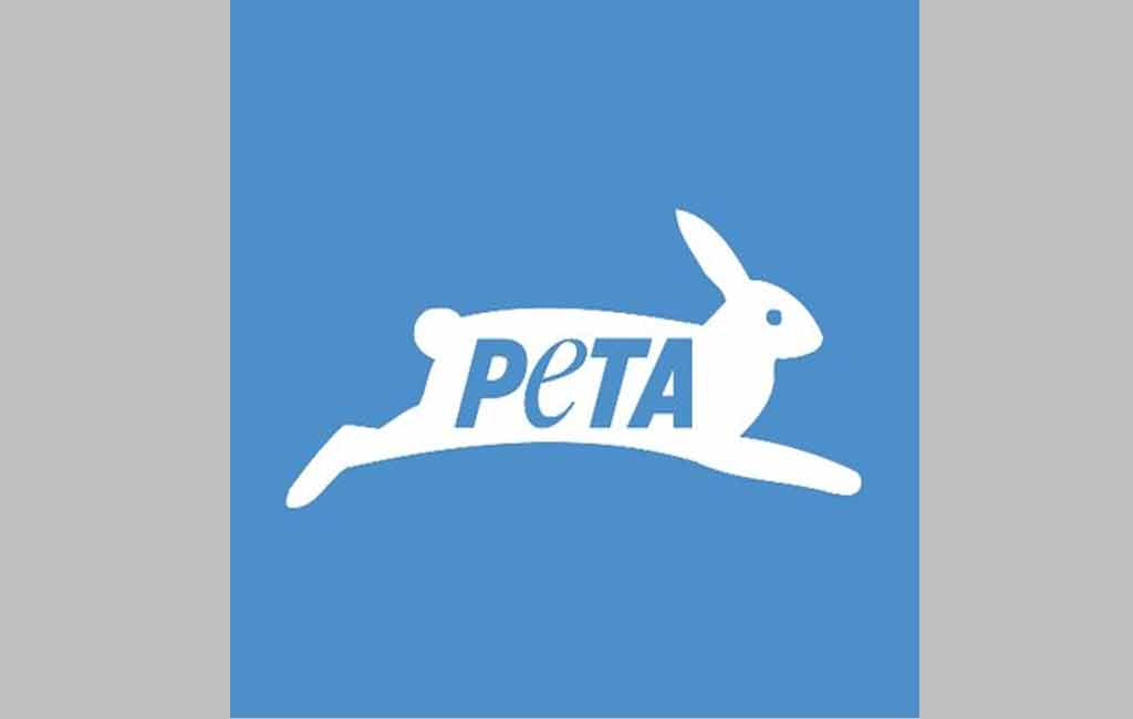 PETA campaigns for horse-free weddings