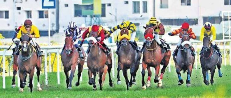 Gusty Note, Days of Reckoning shine in trials