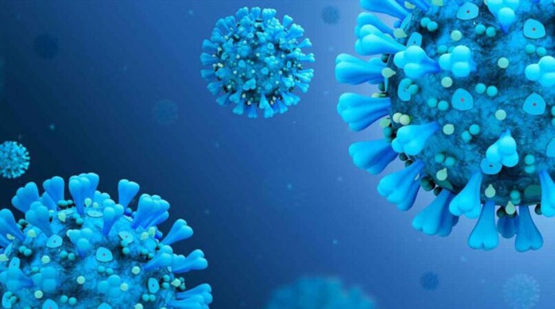 Hyderabad offers key inputs for oral Covid drug