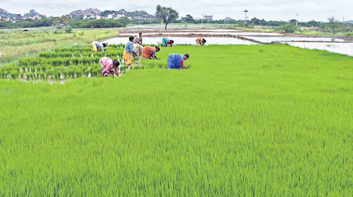 Mudslinging campaign to tarnish Telangana’s image