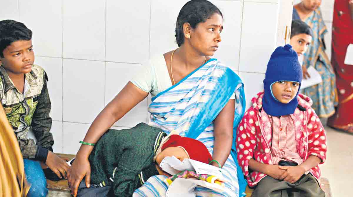 Rise in number of dengue cases in Telangana’s urban centres