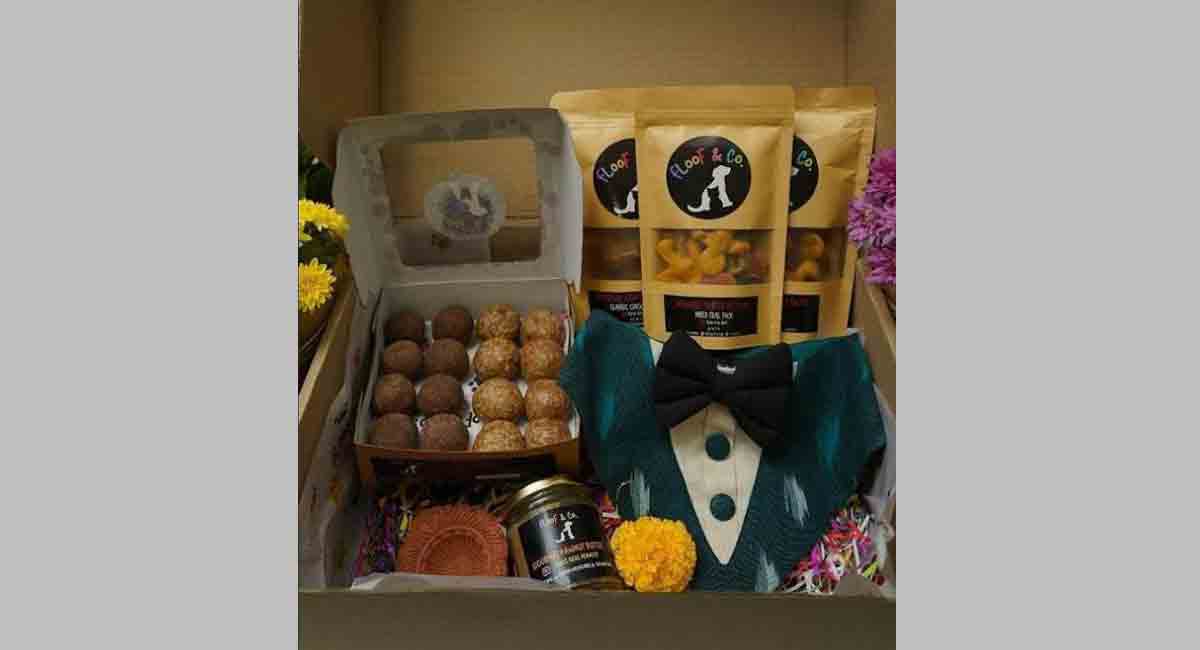 Pamper your floof with this special Diwali hamper
