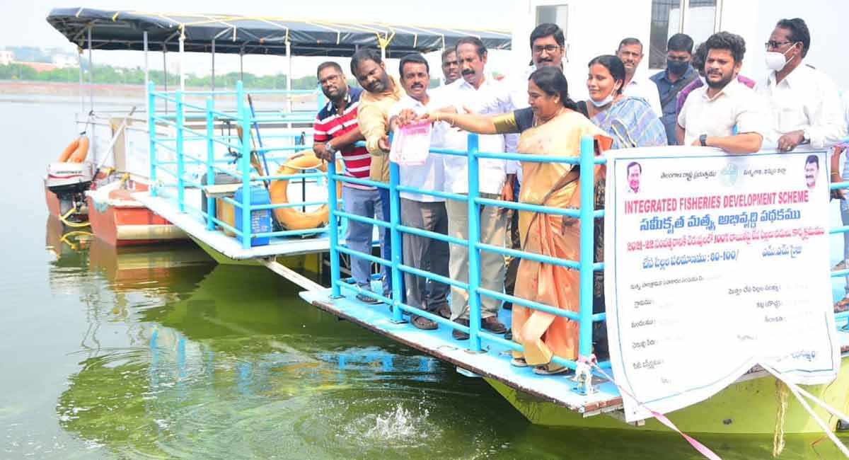 ‘Fish farming booming in Telangana’