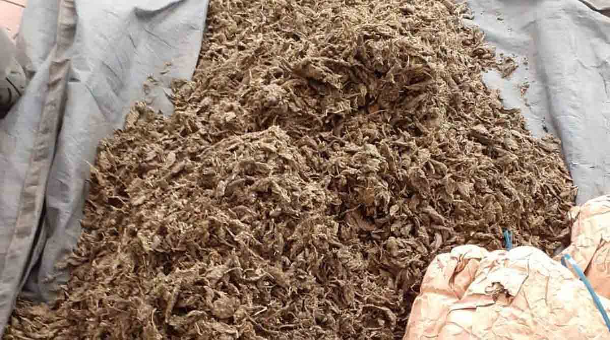 Police crackdown hits ganja peddlers