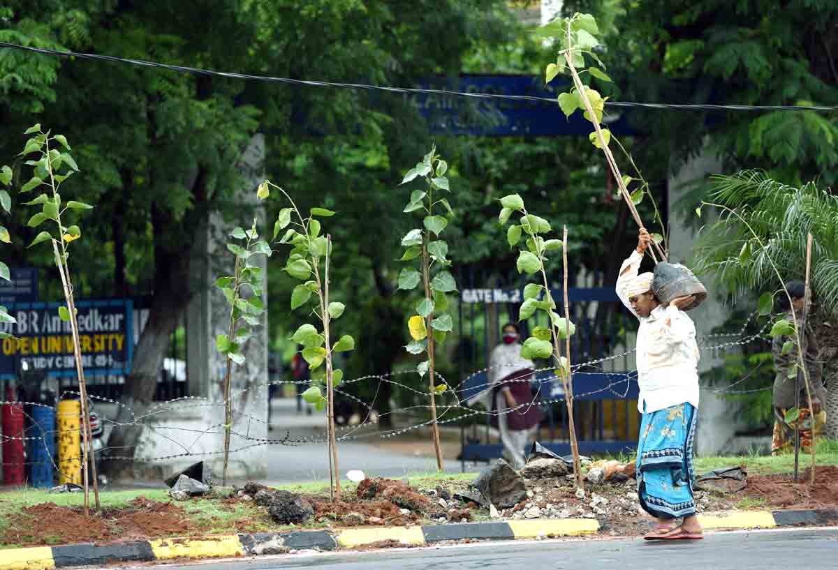 Thumbs-up to Haritha Nidhi