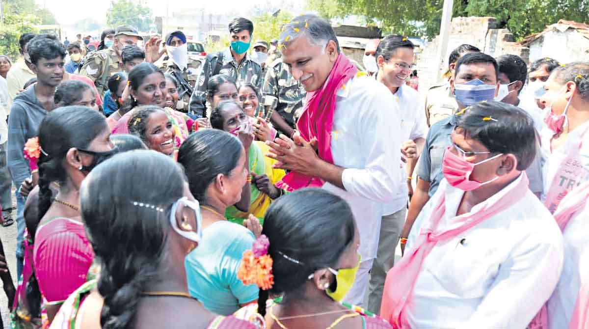 ‘No curbs on paddy cultivation’