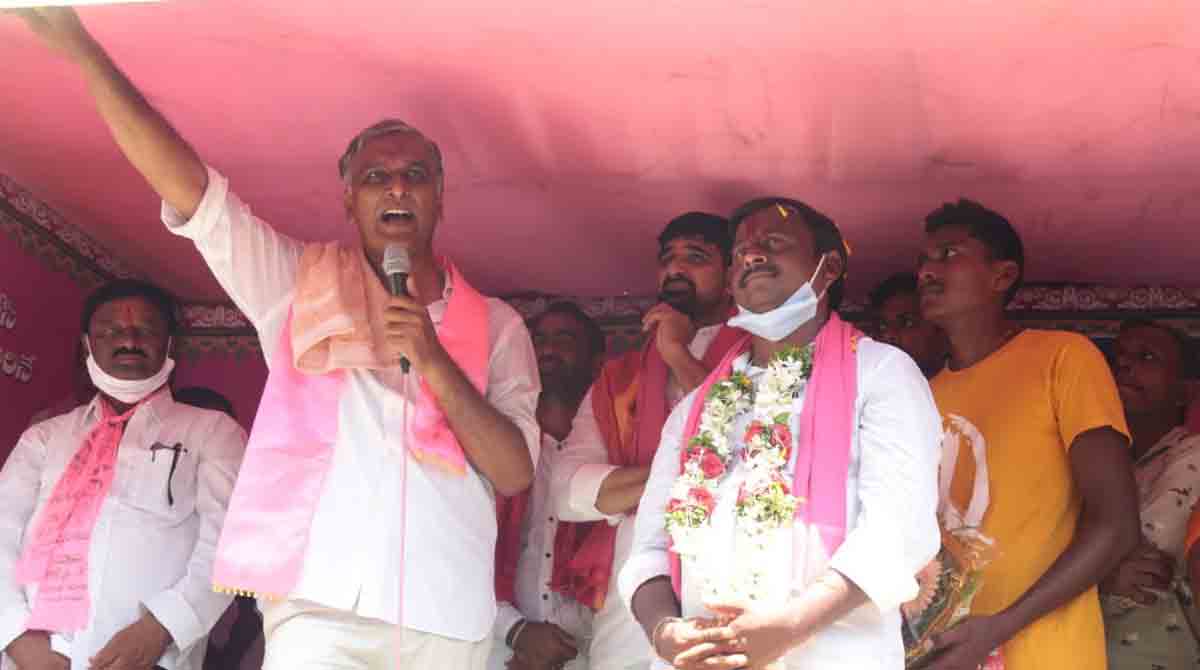 Attacks on Dalits continue in BJP ruled States: Harish Rao