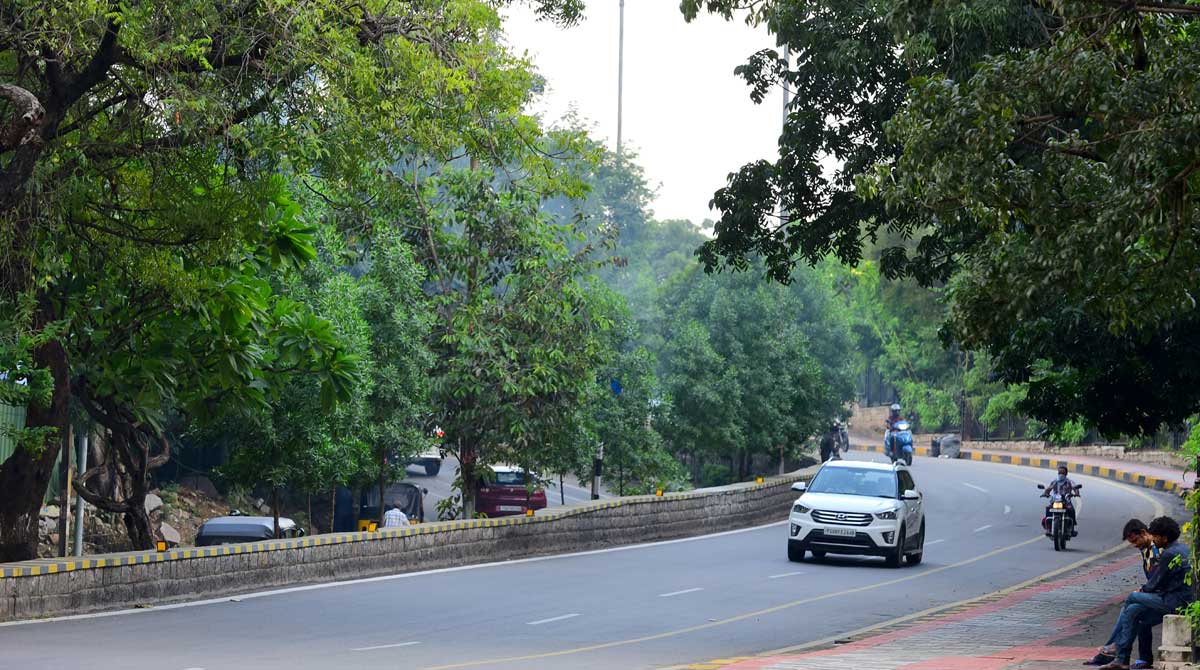 Haritha Nidhi to have multiple impact