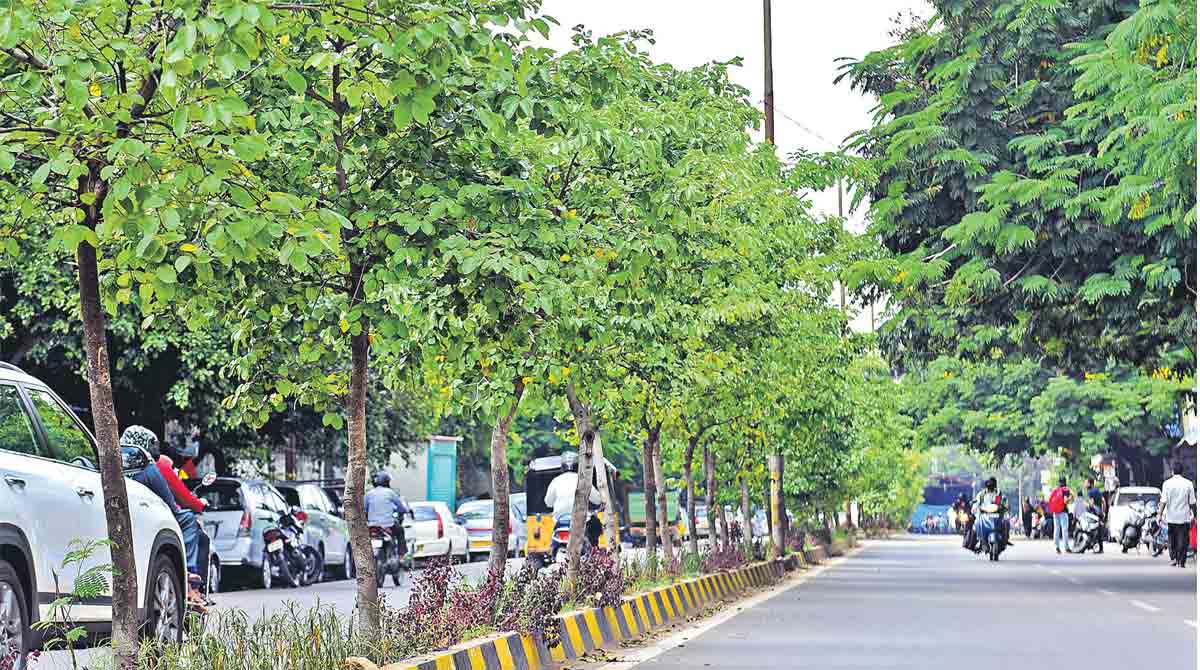 ‘Haritha Nidhi came at right time’