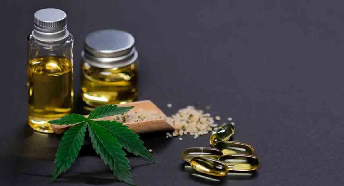 The rise of the Indian hemp industry