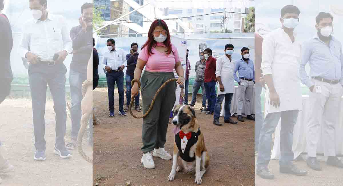 Hyderabad celebrates indie pups