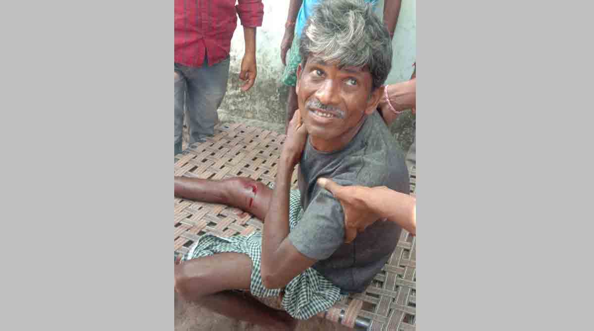 Farmer injured in sloth bear attack in Mancherial