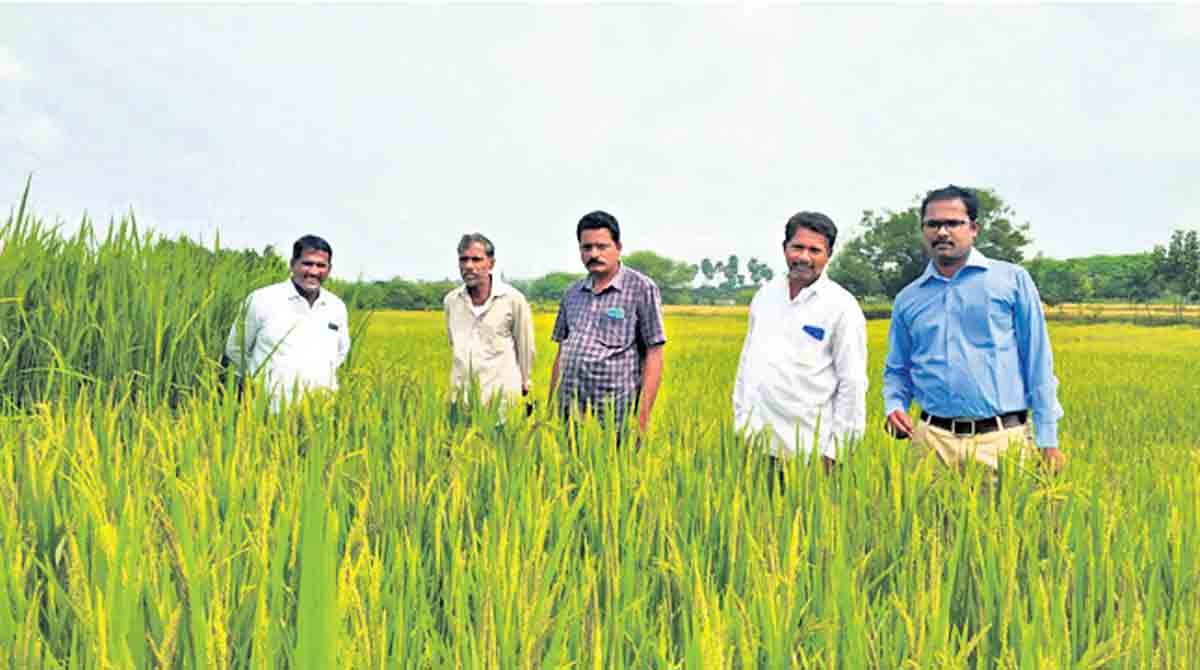 ‘Community seed bank helps farmers’