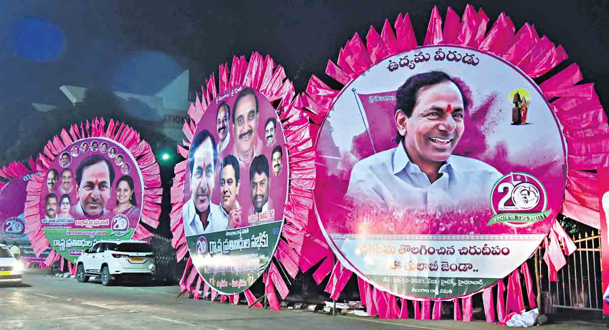 Hyderabad turns pink for TRS plenary