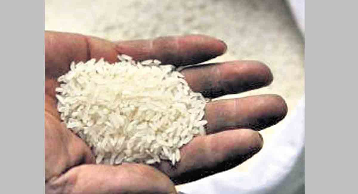 Ensuring food security for all