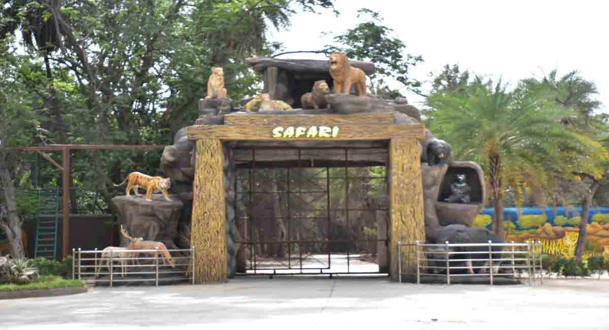 Safari at Nehru Zoological Park reopens in Hyderabad
