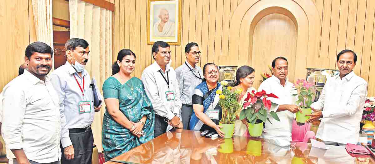 237.42 cr saplings planted across Telangana under Haritha Haram