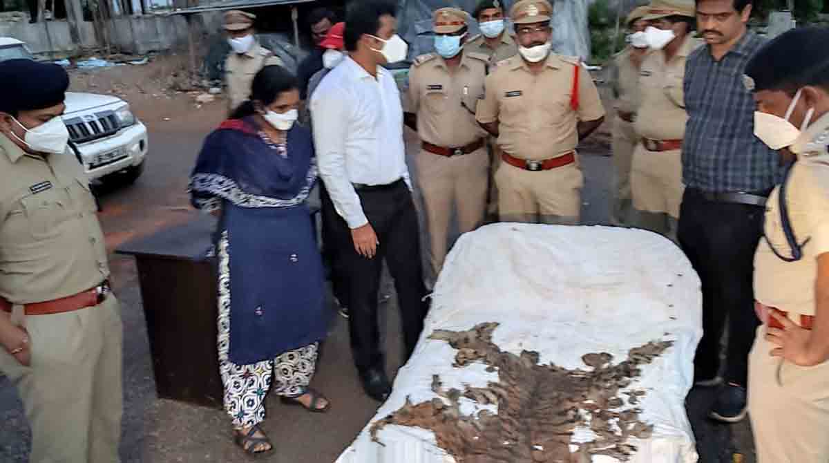 Four poachers arrested for killing tigress in Mulugu