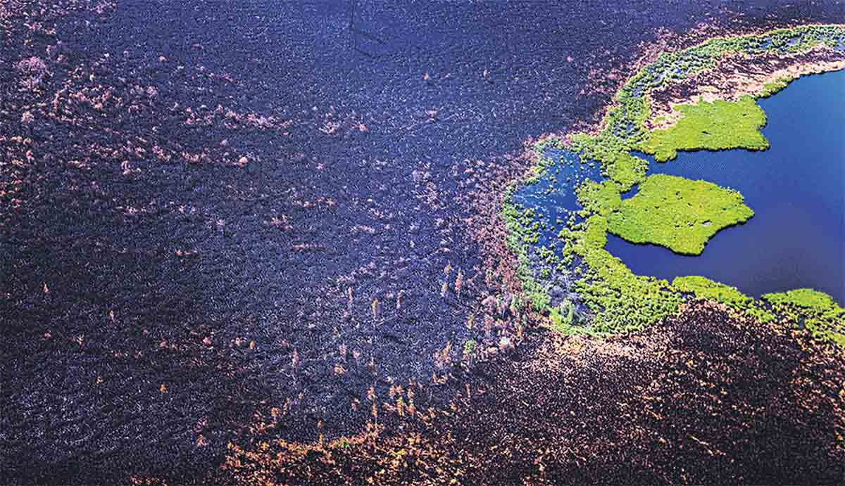 Humanity’s hope at Glasgow