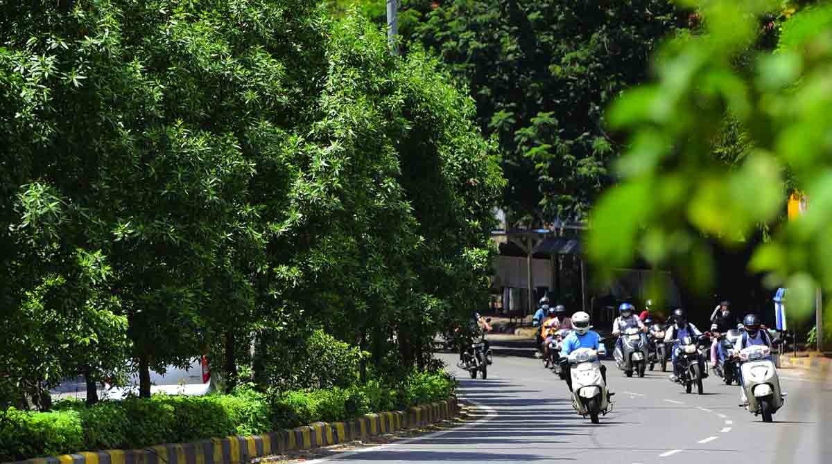 Haritha Nidhi initiative brings smile to many