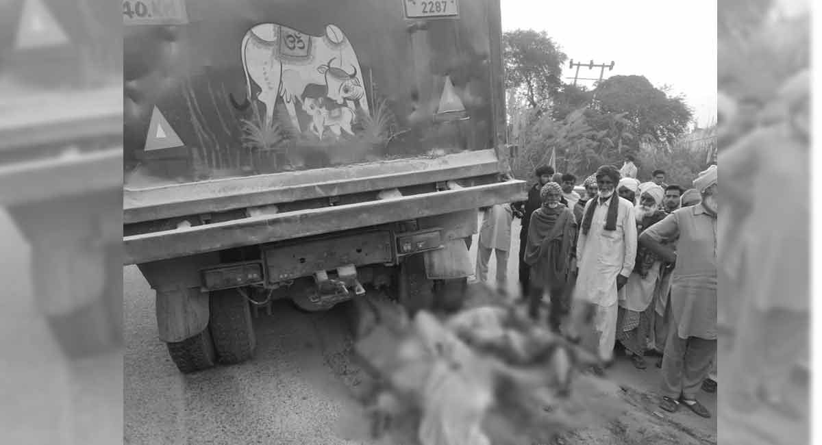 3 women farmers killed, 2 injured as truck hits them near Tikri border