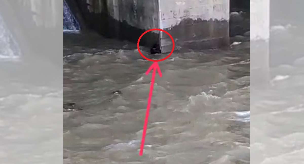 Watch: Hyderabad youngster swept away in Manjeera