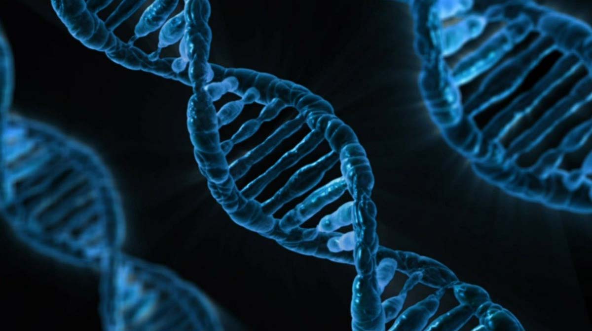 Your genes may determine deeply held moral values