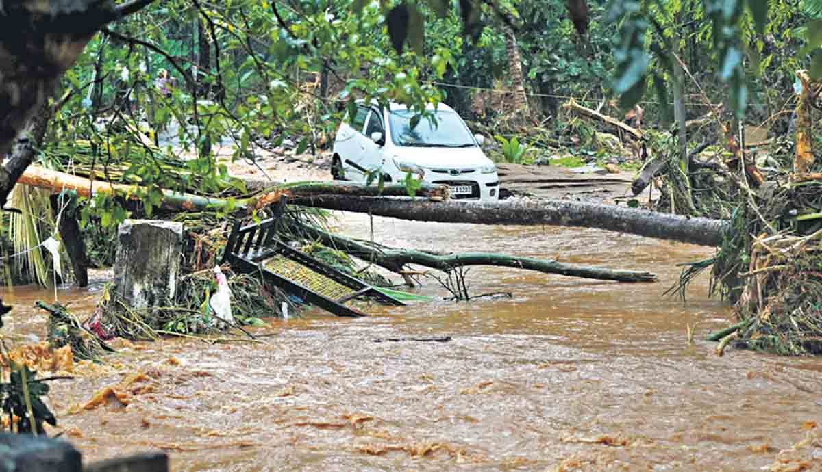 Cities slow in adapting to climate change