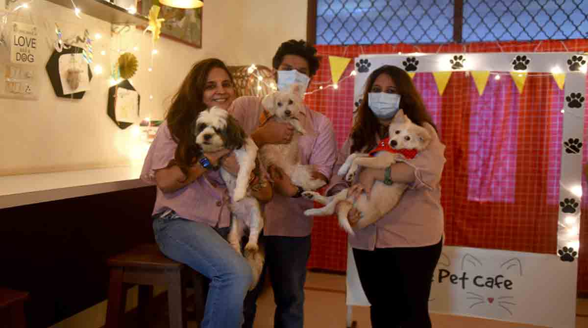 This café makes stray dogs feel loved