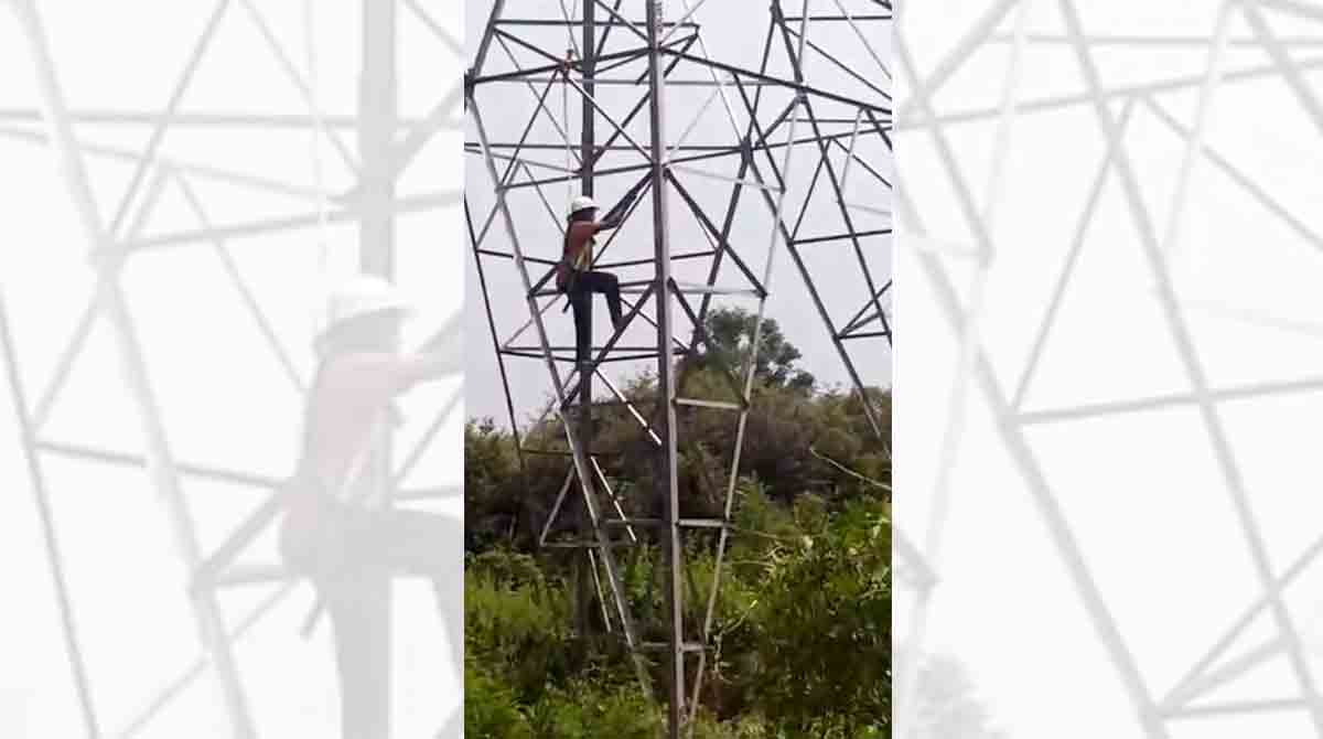 Special Dasara gift for 200 linewomen in Telangana