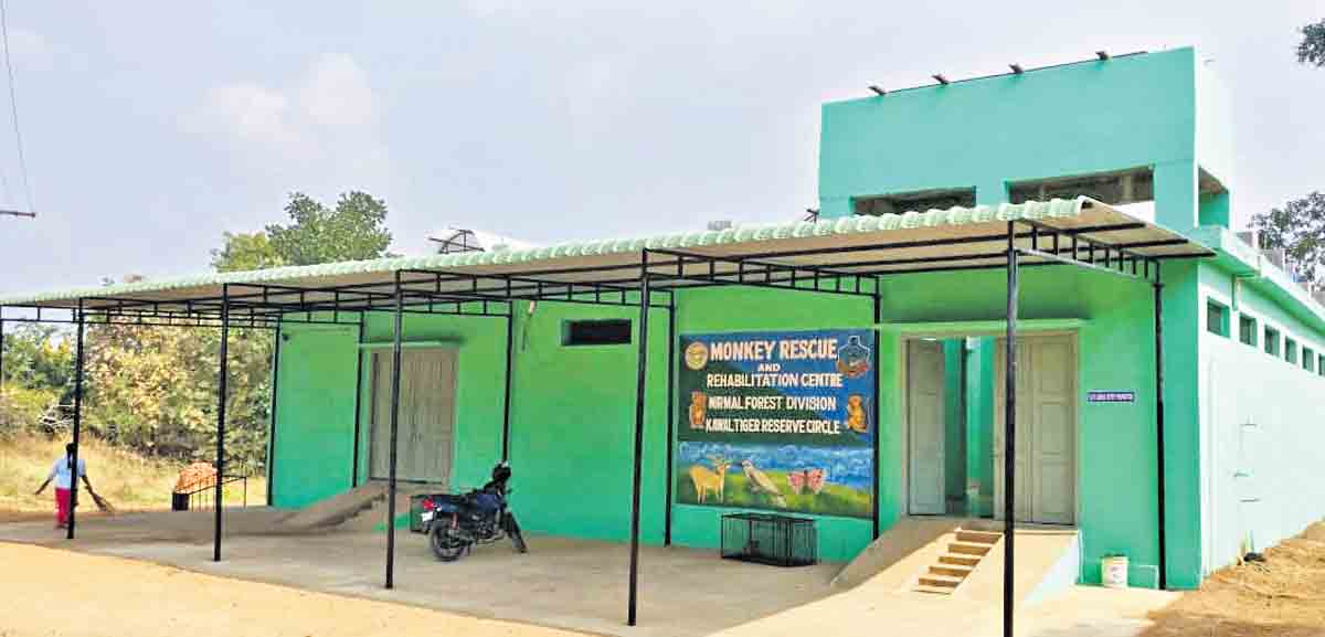 Nirmal: Chincholi rehab unit goes all out to fix monkey menace