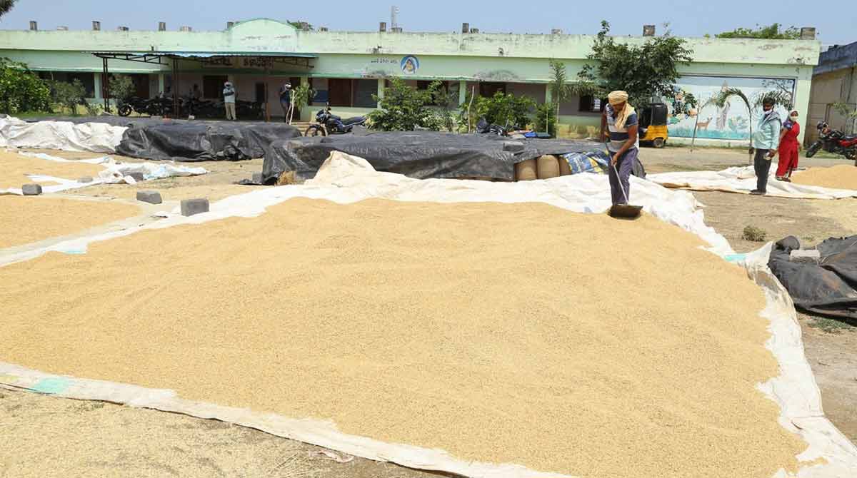 440 paddy procurement centres to be set up in erstwhile Khammam