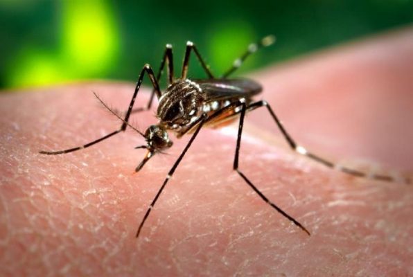 First Zika virus case reported in UP’s Kanpur