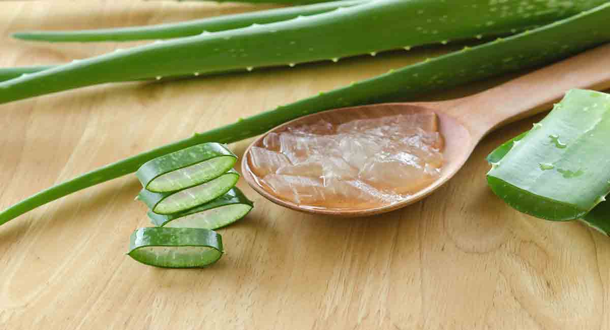 Aloe vera treatment for acne
