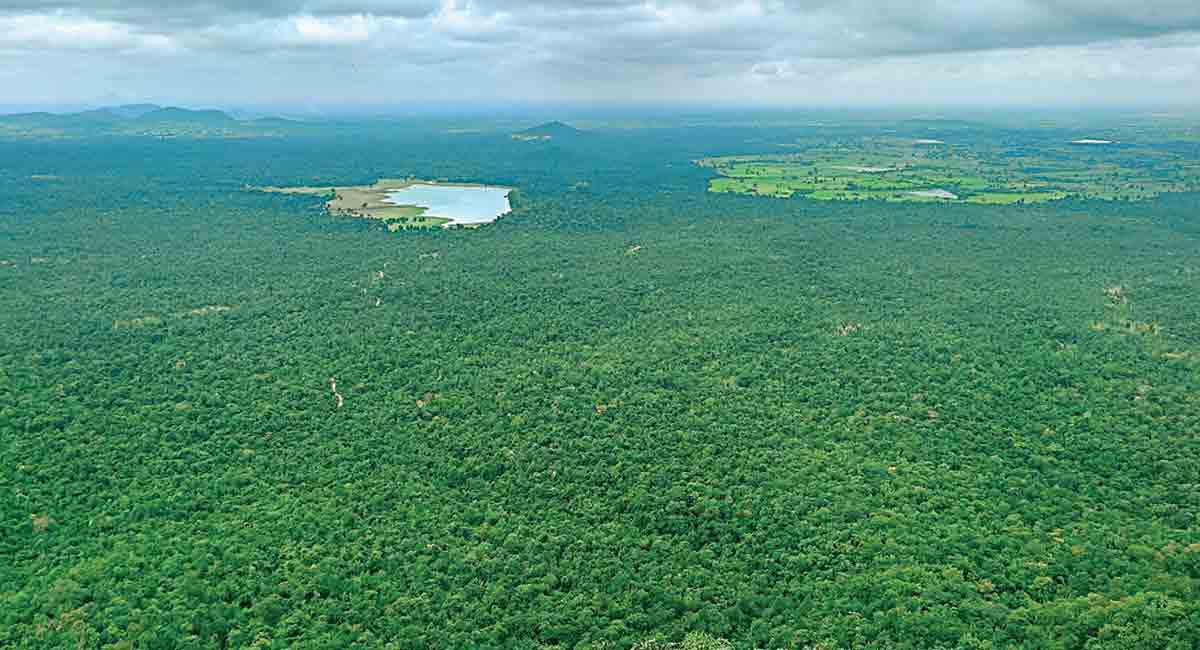 Safari rides, treks back in Amrabad Tiger Reserve