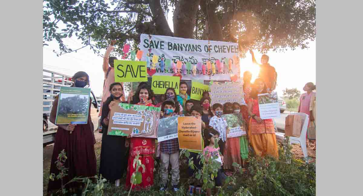 Banyans on Chevella highway at risk as centre sanctions road-widening project