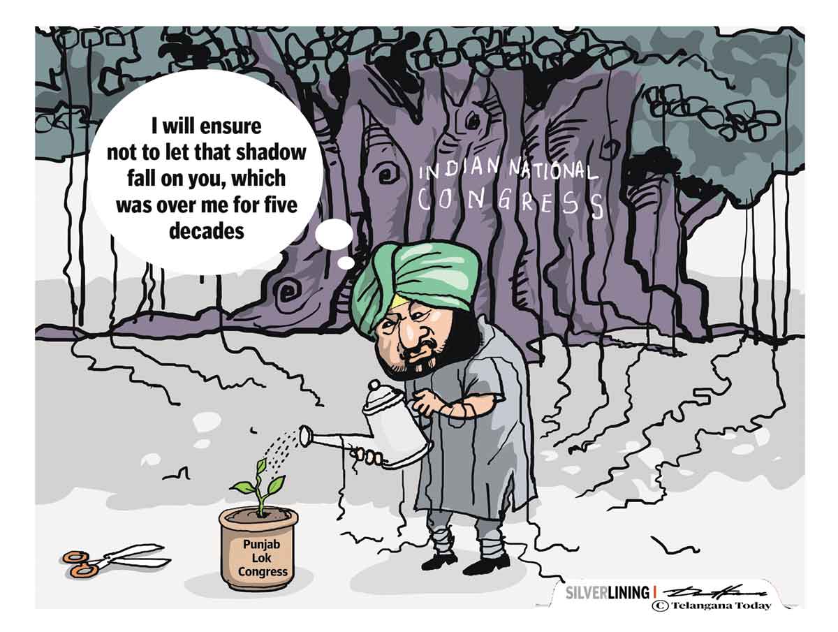 Cartoon: November 3, 2021