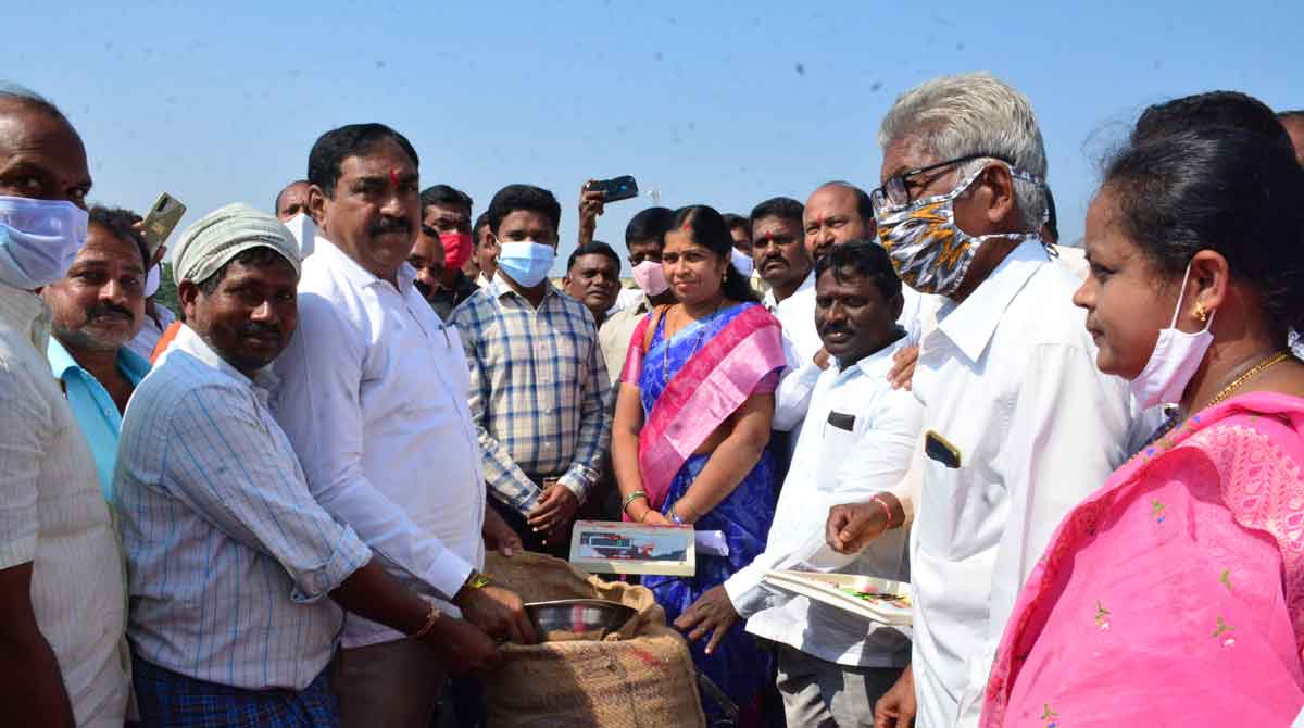Paddy purchase commences in Warangal
