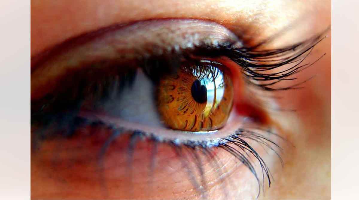 Is your eyesight deteriorating?