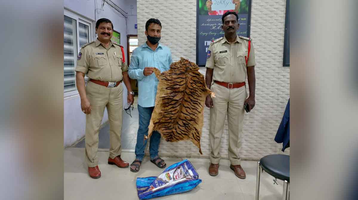 Man tries to sell fake tiger skin, held in Sangareddy