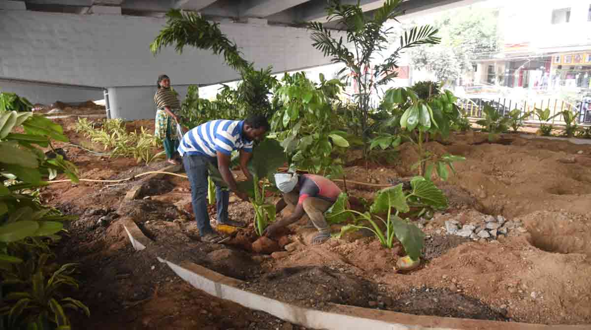 Hyderabad: Space under Shaikpet flyover to turn green