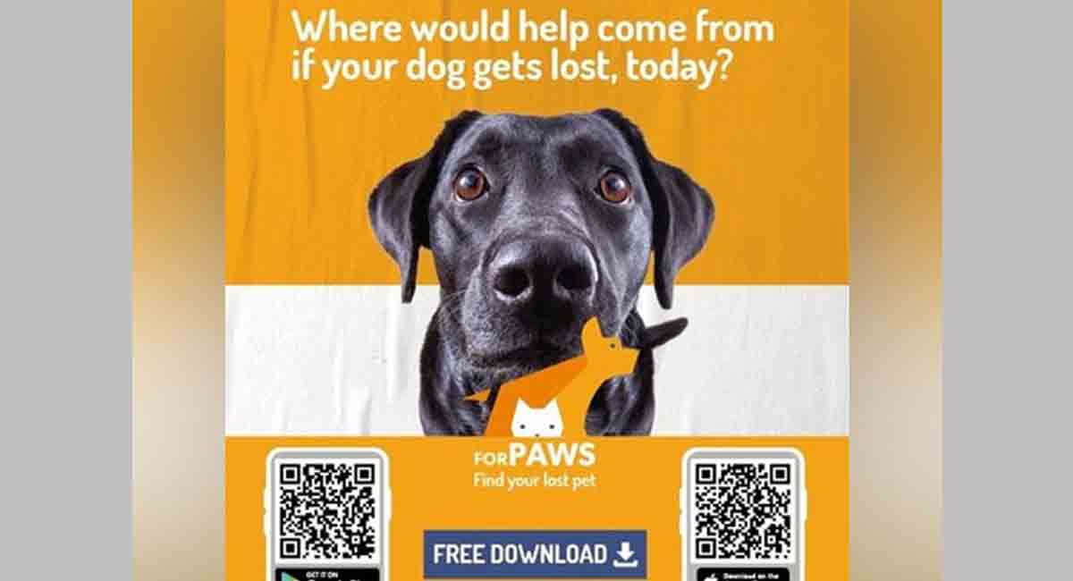 Try ForPaws app to track lost pets